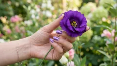 Tätä väriä ei oikeastaan ole olemassa – aivosi keksivät sen