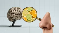 Miksi tuoksut vievät suoraan muistoihin – hajuaistin nopea reitti tunteisiin