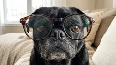 Ongelma ei ole pelkästään näytöissä: tutkijat löysivät yllättävän syyn likinäköisyyden lisääntymiselle